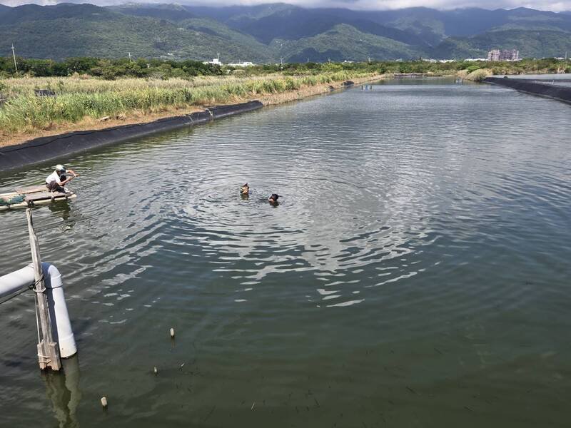 吴姓老翁捕鱼疑似失足落水，遭救起时已无生命征象。（民众提供）