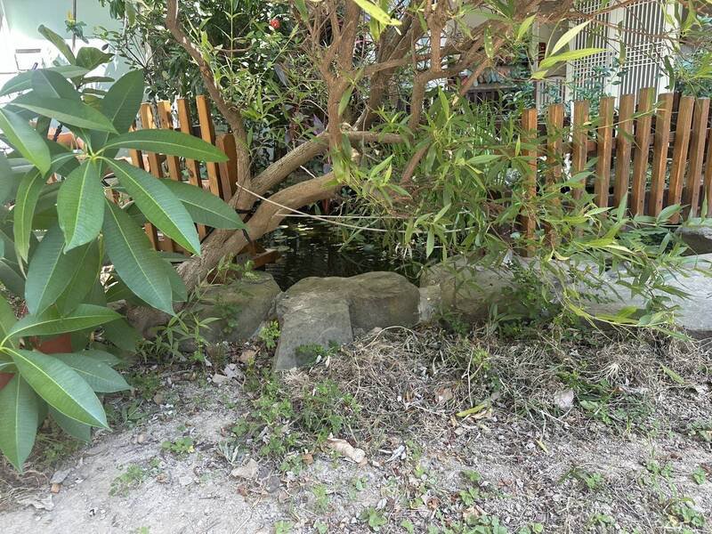 王姓负责人指出，该生态池是建筑法规内的滞洪池。（民众提供）