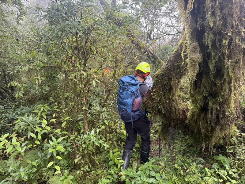 消防人员组队进入阿玉山搜索失联山友。（宜兰县消防局提供）