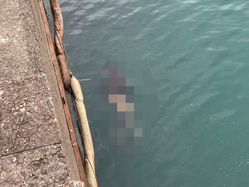 新北市万里核二厂出海口浮尸案，主嫌王嘉荣不满钟姓死者私吞他的毒品，注射3针剂量足以致死的海洛因，再教唆邹姓等3名小弟弃尸，被法院判处无期徒刑、褫夺公权终身。（记者林嘉东翻摄）