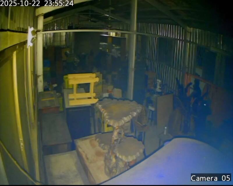 苗栗市传出歹徒剪断铁皮仓库破门而入大搬家，偷走桧木圆桌、洋酒，价值100多万元。图为窃嫌潜入偷窃时状况。（民众提供）
