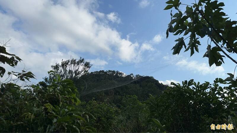 基隆市警三分局侦查队长郭憬融表示，掳鸽集团在基隆市七堵等山区「风口处」架网拦捕赛鸽，警方将持续查缉不法，呼吁掳鸽集团勿以身试法。（记者林嘉东摄）