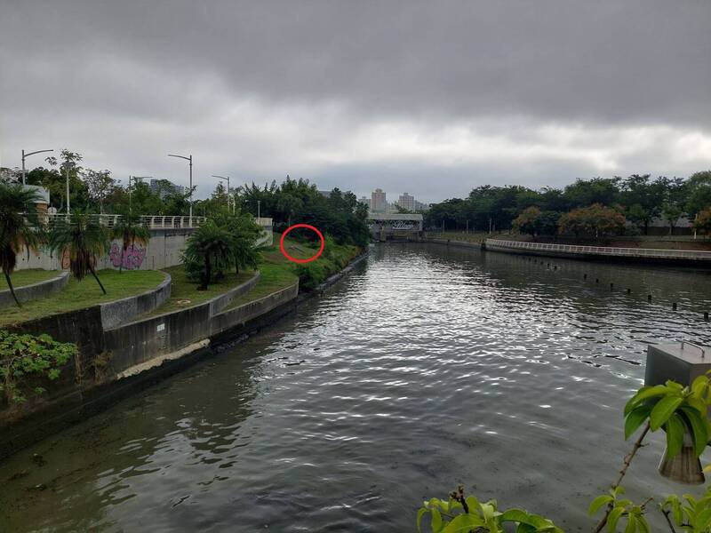 老翁在爱河边坡（红圈处）捡钥匙，不慎滑落至爱河。（民众提供）