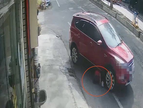 陈姓女子跟爱犬（红圈处）遭后方刚起步的休旅车直接撞上，卷入车底。（民众提供）