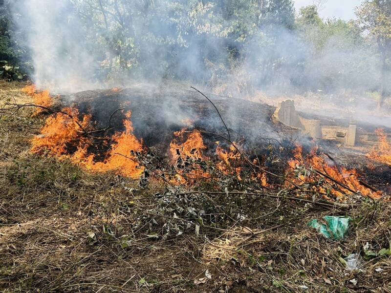 花坛乡第六公墓昨天燃烧6小时之久，消防人员辛苦打火。（消防局提供）